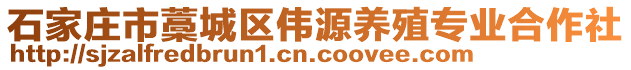 石家莊市藁城區(qū)偉源養(yǎng)殖專業(yè)合作社