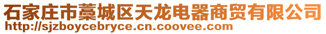 石家莊市藁城區(qū)天龍電器商貿(mào)有限公司