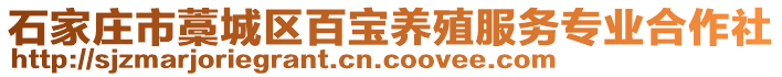 石家莊市藁城區(qū)百寶養(yǎng)殖服務(wù)專業(yè)合作社