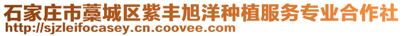 石家莊市藁城區(qū)紫豐旭洋種植服務(wù)專業(yè)合作社