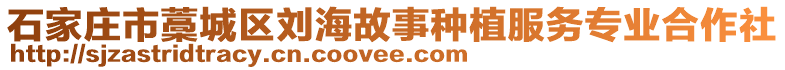 石家莊市藁城區(qū)劉海故事種植服務(wù)專業(yè)合作社