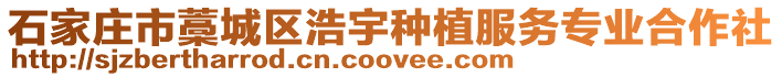 石家莊市藁城區浩宇種植服務專業合作社