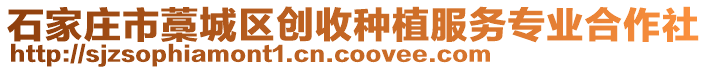 石家莊市藁城區創收種植服務專業合作社