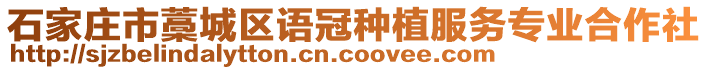 石家莊市藁城區(qū)語冠種植服務專業(yè)合作社