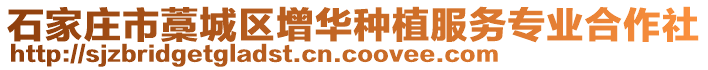 石家庄市藁城区增华种植服务专业合作社