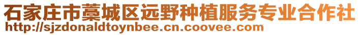 石家庄市藁城区远野种植服务专业合作社