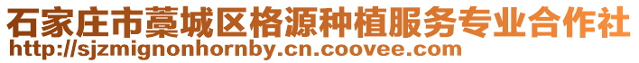 石家庄市藁城区格源种植服务专业合作社