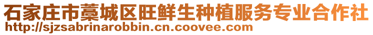 石家莊市藁城區(qū)旺鮮生種植服務(wù)專業(yè)合作社