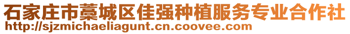 石家莊市藁城區(qū)佳強(qiáng)種植服務(wù)專業(yè)合作社