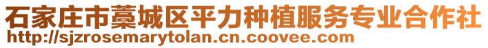 石家莊市藁城區(qū)平力種植服務(wù)專業(yè)合作社