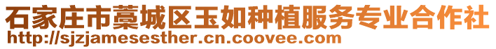 石家庄市藁城区玉如种植服务专业合作社