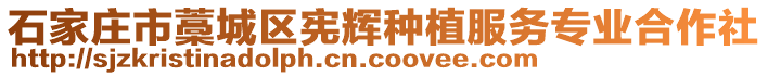 石家庄市藁城区宪辉种植服务专业合作社