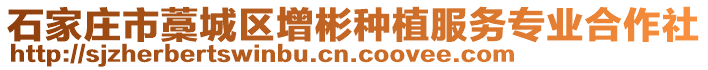 石家莊市藁城區(qū)增彬種植服務(wù)專業(yè)合作社