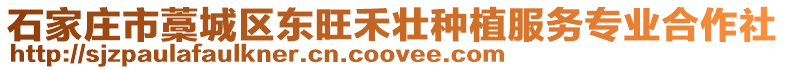 石家莊市藁城區東旺禾壯種植服務專業合作社