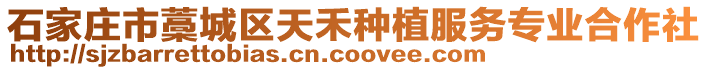 石家莊市藁城區天禾種植服務專業合作社