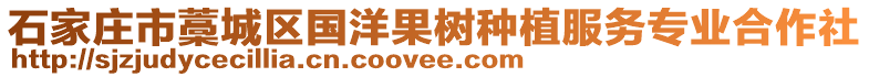 石家庄市藁城区国洋果树种植服务专业合作社