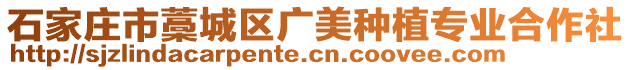 石家莊市藁城區廣美種植專業合作社