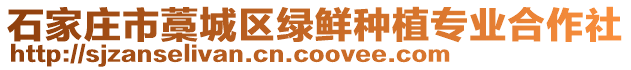 石家庄市藁城区绿鲜种植专业合作社