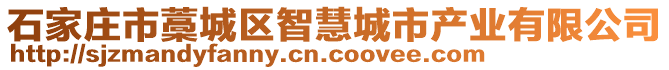 石家莊市藁城區(qū)智慧城市產(chǎn)業(yè)有限公司