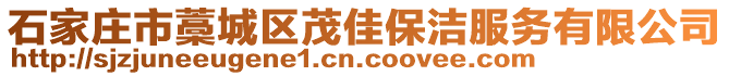 石家莊市藁城區茂佳保潔服務有限公司