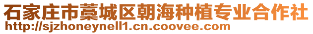 石家莊市藁城區(qū)朝海種植專業(yè)合作社