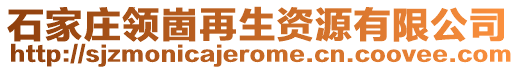 石家莊領崮再生資源有限公司