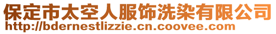 保定市太空人服飾洗染有限公司