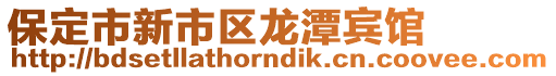 保定市新市區(qū)龍?zhí)顿e館