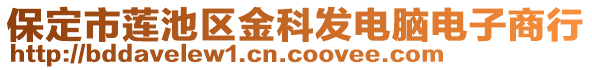 保定市蓮池區(qū)金科發(fā)電腦電子商行