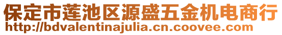 保定市蓮池區(qū)源盛五金機(jī)電商行