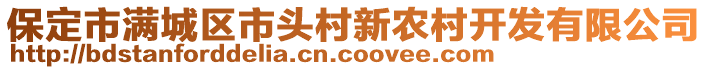 保定市满城区市头村新农村开发有限公司