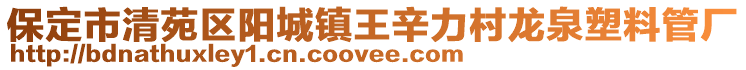 保定市清苑区阳城镇王辛力村龙泉塑料管厂