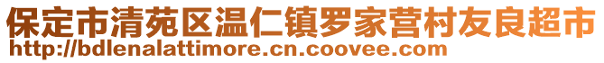 保定市清苑區(qū)溫仁鎮(zhèn)羅家營(yíng)村友良超市