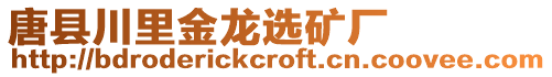 唐縣川里金龍選礦廠