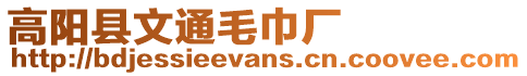 高陽縣文通毛巾廠