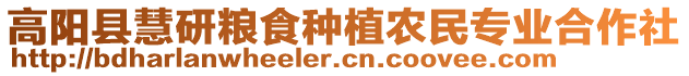 高阳县慧研粮食种植农民专业合作社