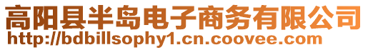 高阳县半岛电子商务有限公司