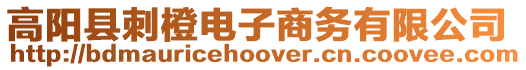 高陽縣刺橙電子商務(wù)有限公司