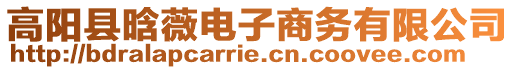 高阳县晗薇电子商务有限公司