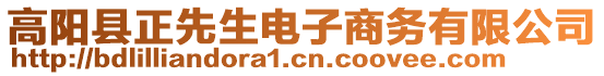 高陽縣正先生電子商務有限公司