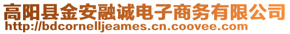 高阳县金安融诚电子商务有限公司