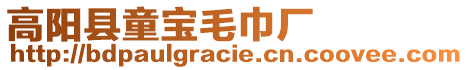 高陽縣童寶毛巾廠