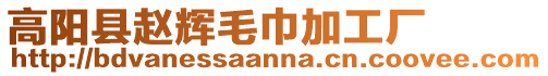 高陽縣趙輝毛巾加工廠