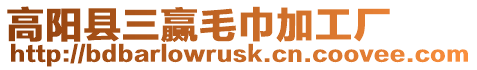 高陽縣三贏毛巾加工廠