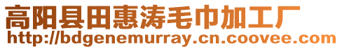 高陽縣田惠濤毛巾加工廠