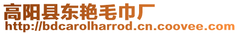 高陽(yáng)縣東艷毛巾廠