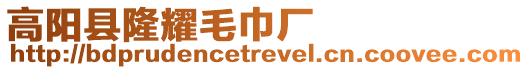 高陽縣隆耀毛巾廠