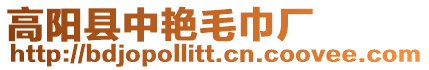 高陽縣中艷毛巾廠