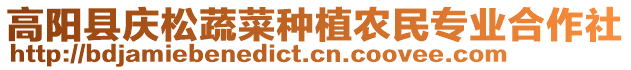 高陽(yáng)縣慶松蔬菜種植農(nóng)民專(zhuān)業(yè)合作社