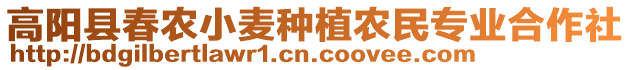 高陽縣春農(nóng)小麥種植農(nóng)民專業(yè)合作社